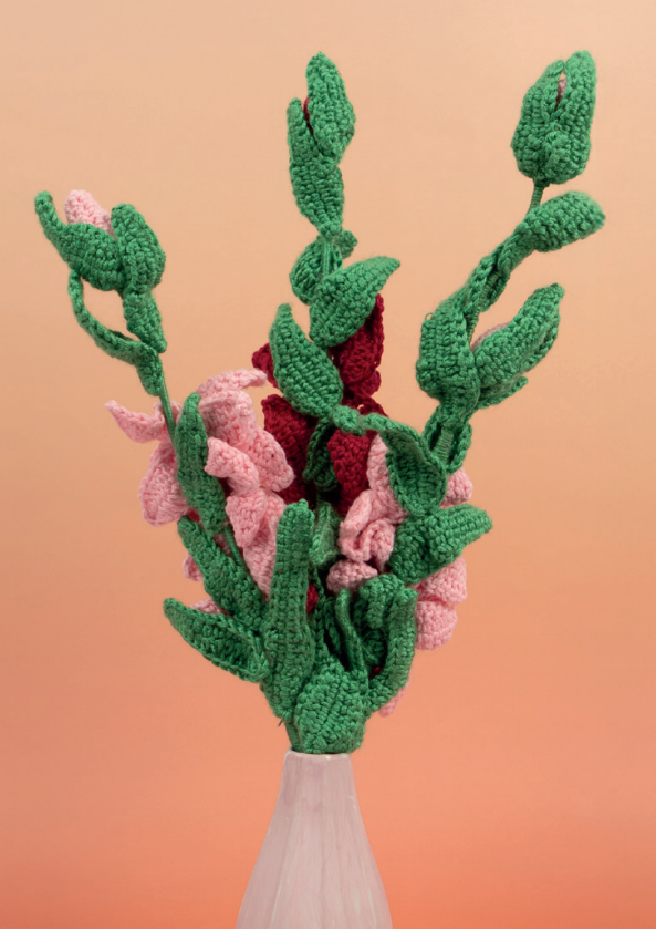 haakpatroon – een sierlijke gladiool