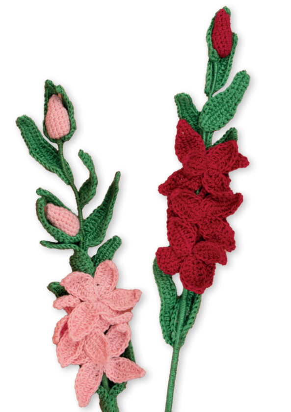 haakpatroon – een sierlijke gladiool