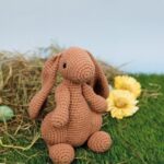 ami22 33263 theodoor de haas.jpg