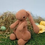 ami22 33263 theodoor de haas 1.jpg