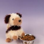 ami22 33293 hondje leo.jpg