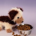 ami22 33293 hondje leo 2.jpg