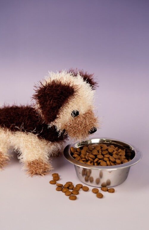 ami22 33293 hondje leo 2.jpg