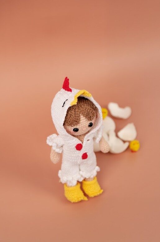 ami22 33309 jip de kip 1.jpg