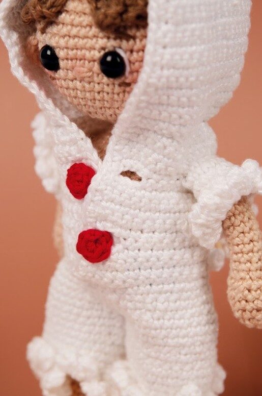 ami22 33309 jip de kip 6.jpg