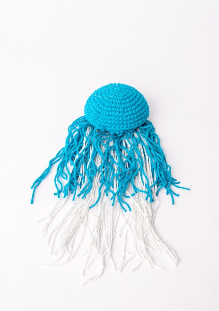 33581 jelly kwal 5.jpg