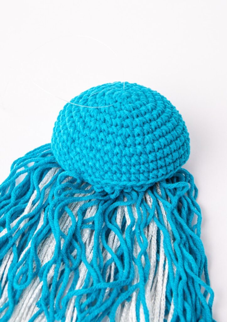 33581 jelly kwal 7.jpg