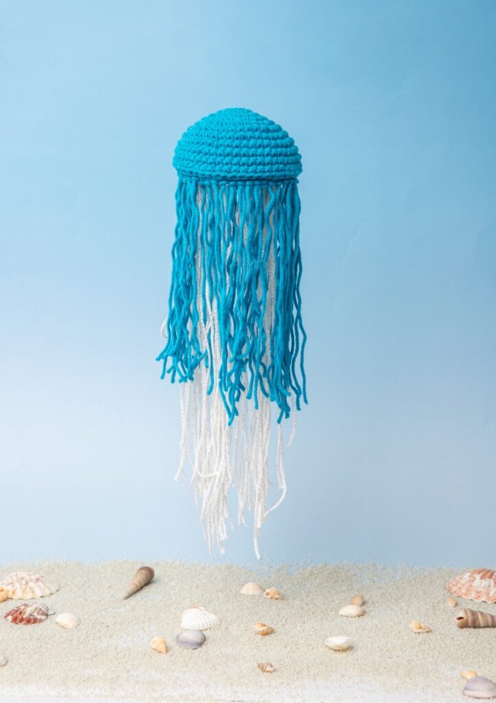 33581 jelly kwal 8.jpg