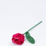 adh67 33278i.jpg