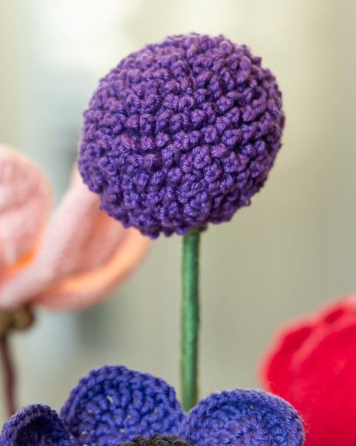 adh67 lenteboeket uienbol allium.jpg
