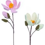 adh67 lenteboeket magnolias a9xo0i ojscag.jpg