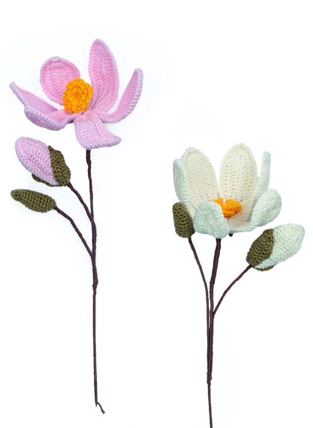 adh67 lenteboeket magnolias a9xo0i ojscag.jpg